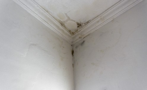 water damage on ceiling from water leak