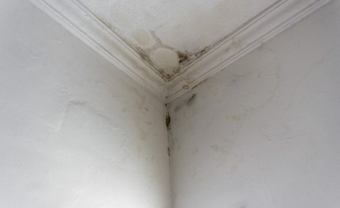 water damage on ceiling from water leak
